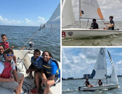 CSNO February 2026 Newsletter